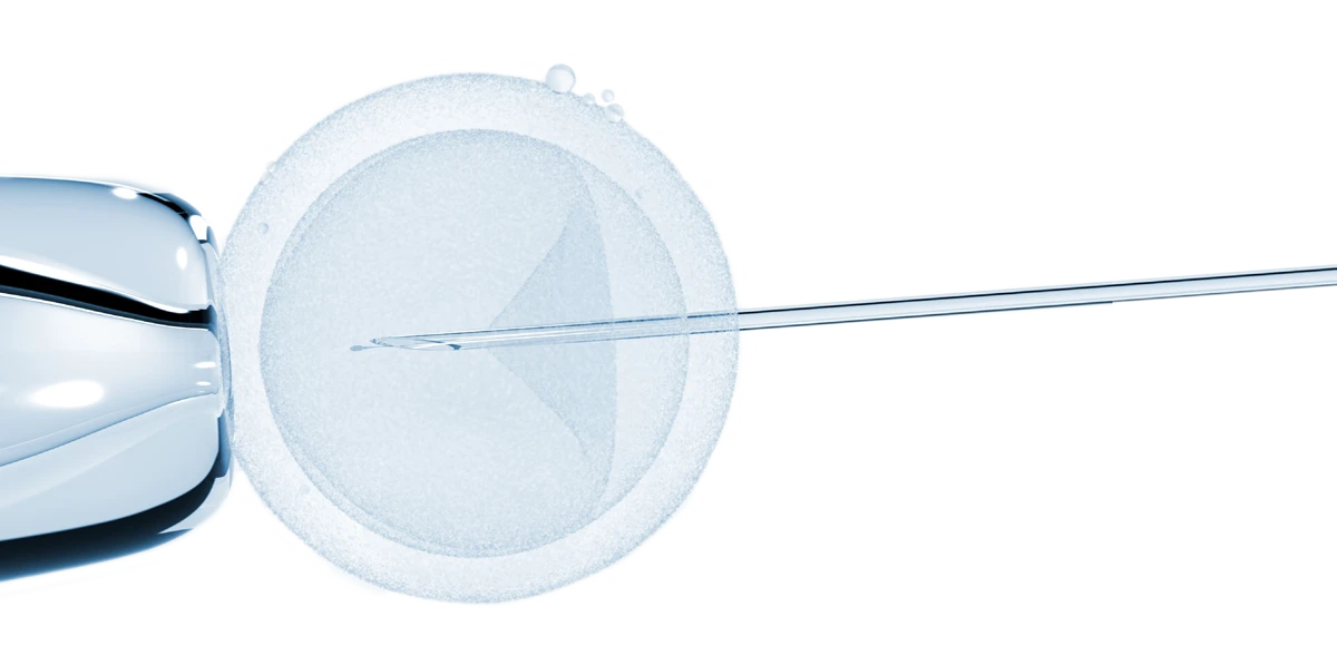 Illustration of oocyte measurement with a micropipette